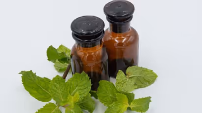 Peppermint Oil: Incredible uses of this herbal medicine for health and beauty