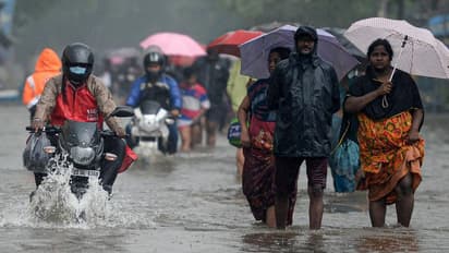 Weather Report: জাঁকিয়ে শীত আর নয়, ঝাপিয়ে বৃষ্টি কলকাতা সহ গাঙ্গেয় পশ্চিমবঙ্গে