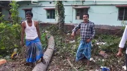 Boy Death: গাছ কাটার সময় দুর্ঘটনা, দড়ির টানে ১২ ফুট দূরে ছিটকে গিয়ে মৃত্যু নাবালকের