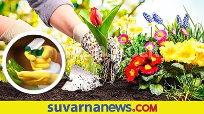 Business Ideas : ಖಾಲಿ ಇರುವ ಟೆರೆಸ್ ನಲ್ಲಿ ಶುರು ಮಾಡಿ ಈ ವ್ಯವಹಾರ