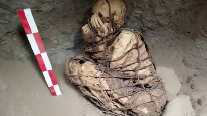 800-നും 1200 ഇടയില്‍ വര്‍ഷം പഴക്കമുള്ള മമ്മി കണ്ടെത്തി, മുഴുവനായും കയറുകൊണ്ട് കെട്ടി, മുഖം മറച്ച നിലയിൽ