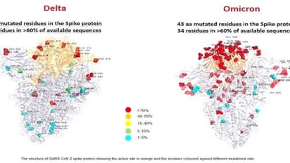 Omicron: వేగంగా దేశాలు దాటుతున్న వేరియంట్.. ఆపడం సాధ్యమేనా? ఏయే దేశాలకు చేరిందంటే?