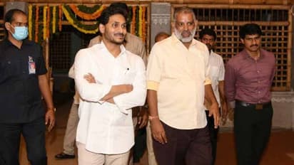 గోశాలలో ఆవు దూడలు: పరిశీలించిన ఏపీ సీఎం వైఎస్ జగన్