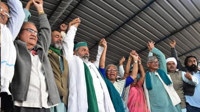 Rakesh Tikait: ১৫ ডিসেম্বরের মধ্যে খালি হয়ে যাবে সব বিক্ষোভস্থল, ঘোষণা টিকাইতের