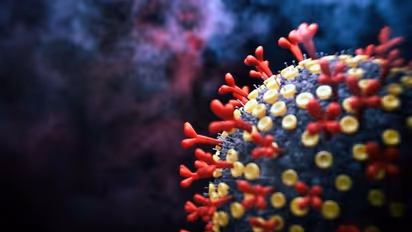 Omicron : രാജ്യത്ത് ഒമിക്രോൺ സാന്നിധ്യമില്ല, ആർടിപിസിആർ-ആന്റിജൻ പരിശോധനയിൽ ഒമിക്രോൺ കണ്ടെത്താമെന്ന് കേന്ദ്രം