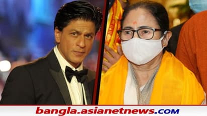 Mamata in Mumbai: মুম্বইয়ে পৌঁছেই শাহরুখের পাশে দাঁড়ালেন মমতা একহাত নিলেন বিজেপিকে