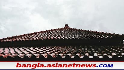 Vastu Tips: সংসারে দুর্ভোগ কাটাতে বাড়ির ছাদ বানান পিরামিড আকৃতির, জেনে নিন বাস্তু মত