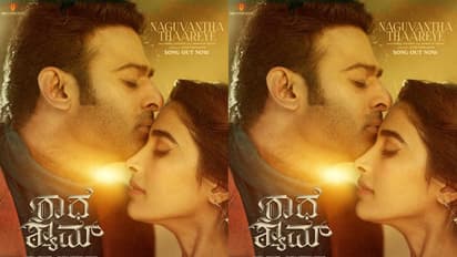 Nagumomu Thaarale Video Song:'నాతో ప్రేమలో పడితే చస్తావ్'.. మనసులు దోచేస్తున్న నగుమోము తారలే సాంగ్