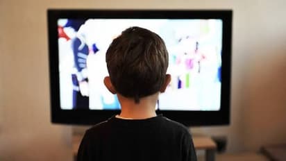 North Korean Teen : ദക്ഷിണകൊറിയൻ സിനിമ കണ്ടു, ഉത്തരകൊറിയയിൽ കൗമാരക്കാരന് 14 വർഷം തടവ്