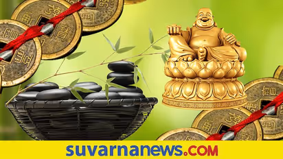 ಫೆಂಗ್ ಶುಯಿಯ ಈ ವಸ್ತುಗಳನ್ನು ಮನೆಗೆ ತಂದ್ರೆ ಸಂಪತ್ತು ಹೆಚ್ಚುತ್ತೆ !