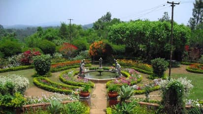 ನೋಯ್ಡಾದಲ್ಲಿ ತಲೆ ಎತ್ತಲಿದೆ ದೇಶದ ಮೊದಲ ವೇದ ವನ… ಇದರ ವೈಶಿಷ್ಟ್ಯ ತಿಳಿಯಿರಿ