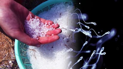 Plastic from sperm : ശുക്ലത്തിൽ നിന്ന് 'എക്കോ ഫ്രണ്ട്ലി' പ്ലാസ്റ്റിക്; ചരിത്രം കുറിക്കാൻ ചൈനീസ് സർവകലാശാല