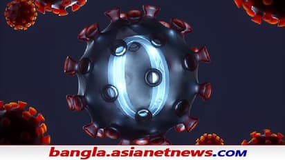 Omicron in India: ভারতেই নেই প্রথম ওমিক্রন রোগী, অপরজনের সংস্পর্শে করোনা পজিটিভ ৫ জন