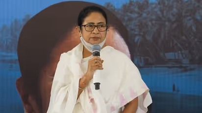 Exclusive: 'Congress has clearly not been able to perform its role'