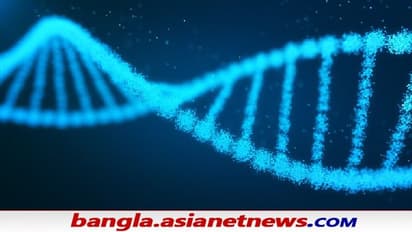 হাঁসখালিকাণ্ডে ডিএনএ-কেই হাতিয়ার করল সিবিআই, ধৃত ও নির্যাতিতার পরিবারের নমুনা যাবে দিল্লিতে