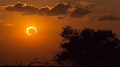 অক্টোবরের এই সূর্যগ্রহণ ছটি রাশির জীবনে আতঙ্ক তৈরি করতে পারে, জেনে নিন প্রতিকার