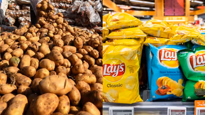 186 കോടി നിക്ഷേപിക്കാൻ പെപ്സികോ; മഥുരയിലെ 'ലെയ്സ് ചിപ്സ്' നിർമ്മാണ യൂണിറ്റ് വിപുലീകരിക്കും