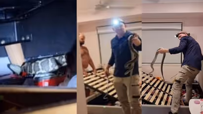 Viral Video :  രാത്രി കിടപ്പുമുറിയിലെത്തിയ 'അതിഥി'യെ കണ്ട് ഭയന്നുവിറച്ച് പെണ്‍കുട്ടി !