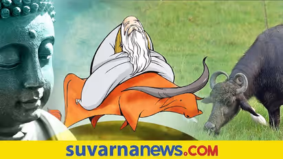 Zen Stories: ಜೆನ್ ಕತೆಗಳ ಜಗತ್ತು- ಎಮ್ಮೆ ಒಳ ಹೋದರೂ ಬಾಲ ಹೊರಗೆ!