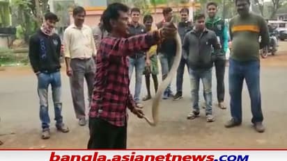 Snake Rescue: সাপের উৎপাতে নাজেহাল বর্ধমানবাসী, ফের গোখর উদ্ধার ভাতার কৃষি মাণ্ডিতে