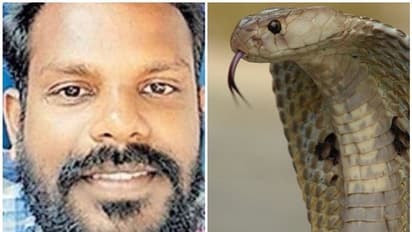 കടിച്ച മൂര്ഖനെ പിടികൂടി, വനപാലകര്ക്ക് കൈമാറാന് കാത്തുനിന്നു; യുവാവ് മരണപ്പെട്ടു