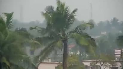 Cyclone Jawad: Odisha, Andhra Pradesh breathe sigh of relief; orange alert sounded for parts of Odisha