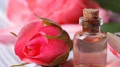 Rose Water for Skin : മുഖത്തെ കറുത്തപാടുകൾ മാറാൻ റോസ് വാട്ടർ ഇങ്ങനെ ഉപയോ​ഗിക്കൂ