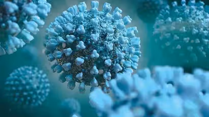 India reports 5th Omicron case with Tanzania-returnee testing positive in Delhi