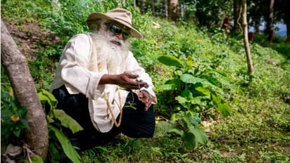 மண் வளத்தை காக்க உறுதி ஏற்போம்..! குடியரசு தின வாழ்த்து செய்தியில் சத்குரு வேண்டுகோள்