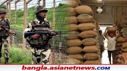 Rain Shelter: সীমান্ত এলাকায় চাষাবাদে জোর দিতে নয়া কর্মসূচি, তৈরি হচ্ছে আধুনিক ‘রেইন শেল্টার’