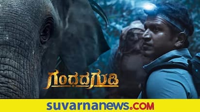 Gandhada Gudi Teaser: ಪುನೀತ್ ರಾಜ್ಕುಮಾರ್ ಕನಸು ನನಸಾಗಿಸಿದ ಪತ್ನಿ!