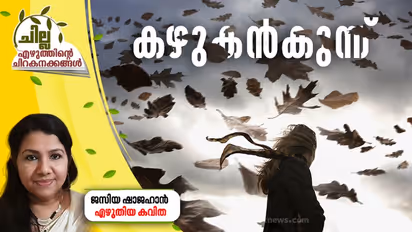 Malayalam Poem : കഴുകന്കുന്ന്, ജസിയ ഷാജഹാന് എഴുതിയ കവിത