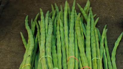 Health Tips: ನುಗ್ಗೆಕಾಯಿ ಕಷಾಯ ಸೇವಿಸಿ ಫಟಾಫಟ್ ಆಗಿ ಬೊಜ್ಜು ಕರಗಿಸಿ