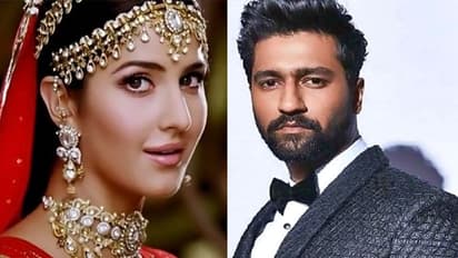 Katrina Kaif, Vicky Kaushal wedding: Expensive Tiffany cake for 'bride and groom' made by Italian chef