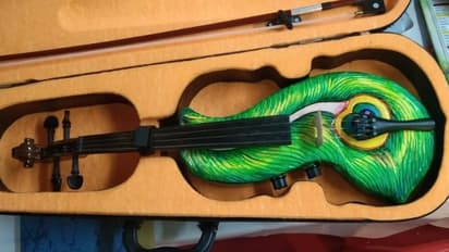 Violin : ഥാറിന് പിന്നാലെ ഇലക്ട്രിക് വയലിൻ, പ്രിയന്റെ 'മയിൽപ്പീലി വയലിൻ' ഇനി ഗുരുവായൂരപ്പന് സ്വന്തം