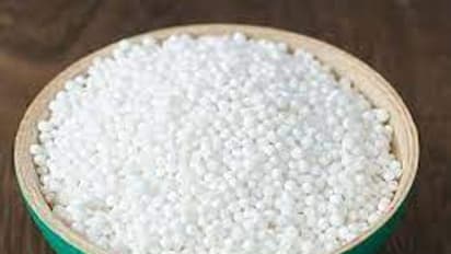 సగ్గుబియ్యంతో ఇన్ని ఆరోగ్య ప్రయోజనాలు ఉన్నాయా.. ఈ విషయం మీకు తెలుసా?