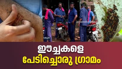 Beer Fly attack : മുണ്ട് മാറ്റി പാന്റിട്ടു; ഈച്ചകളെ പേടിച്ച് തൃശൂരിലെ ഈ ഗ്രാമം