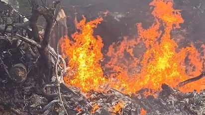 IAF Helicopter Crash :  ഹെലികോപ്ടര്‍ അപകടത്തിലെ അന്വേഷണം തുടരുന്നു; ഒരാഴ്ചയ്ക്കുള്ളിൽ പ്രാഥമിക റിപ്പോർട്ട്