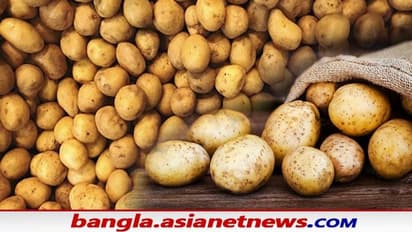 আলু খেলে ওজন বাড়ে না কমে, জেনে নিন এতদিন কত ভুল ধারণা ছিল