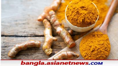 Health Tips: শীতে সুস্থ থাকতে নিয়মিত কাঁচা হলুদ খান, জেনে নিন কী কী উপকার