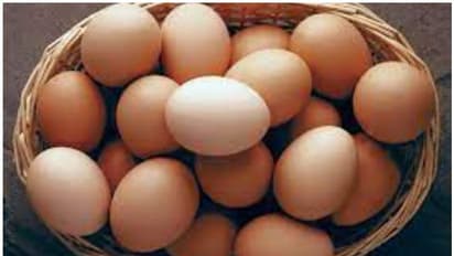 প্রচন্ড গরমে ফ্রিজে রাখার পরও ডিম খারাপ হয়ে যাচ্ছে? জানুন কিনে আনার পর কতক্ষণ ভালো থাকে