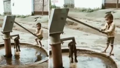 Viral Video : ആരെയും കീഴടക്കും ഈ കുഞ്ഞുമനസ്; വൈറലായ വീഡിയോ