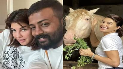 Jacqueline Fernandez पर पानी की तरह पैसे बहाता था ये शख्स, तोहफे में दिए 50 लाख के घोड़े, 10 करोड़ के खास गिफ्ट