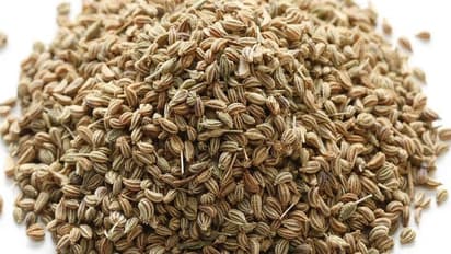 side effects of ajwain: రోజూ వాము తింటే ఆరోగ్యానికి అస్సలు మంచిది కాదు జాగ్రత్త..