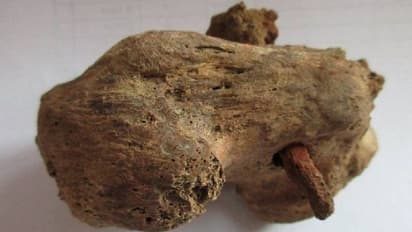 Roman crucifixion : യുകെ -യിൽ 'കുരിശുമരണ'ത്തിന്റെ ആദ്യ തെളിവ്, അസ്ഥികൂടത്തിൽ കാലിൽ തുളച്ചുകയറ്റിയ ആണി