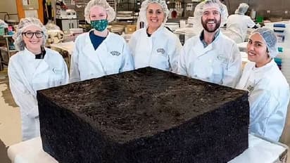 cannabis brownie : കഞ്ചാവ് വാരിക്കോരി ചേർത്ത് ലോകത്തേറ്റവും വലിയ കഞ്ചാവുബ്രൗണി, റെക്കോർഡിട്ട് കമ്പനി