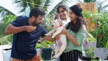 Jayaram Movie: ജയറാമിന്റെ നായികയായി മീര ജാസ്മിൻ; സത്യൻ അന്തിക്കാട് ചിത്രത്തിന്റെ പേരിട്ടു