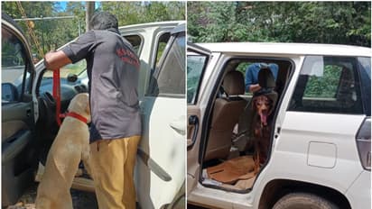 Drug Smuggling : ലഹരിക്കടത്ത് വ്യാപകം; ഹാന്സും മയക്കുമരുന്നും മണത്ത് പിടിക്കാന് ബ്രൂണോയും സുല്ത്താനും