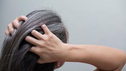 Hair Care : അകാലനര അകറ്റാം; പരീക്ഷിക്കാം ചില സിംപിൾ ടിപ്സ്...