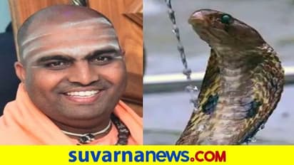 Snake Bite: ಹಾವು ಕಚ್ಚಿ ಇಮ್ಮಡಿ ಗುರುಮಲ್ಲ ಸ್ವಾಮೀಜಿ ಸಾವು